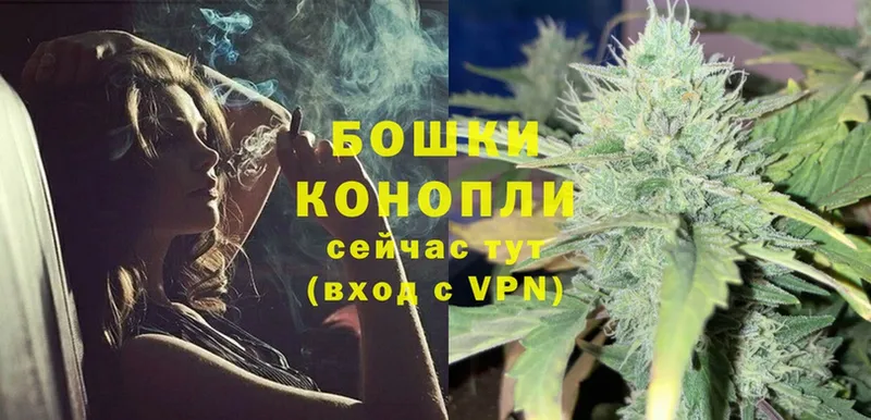 купить наркотик  Ртищево  Канабис THC 21% 